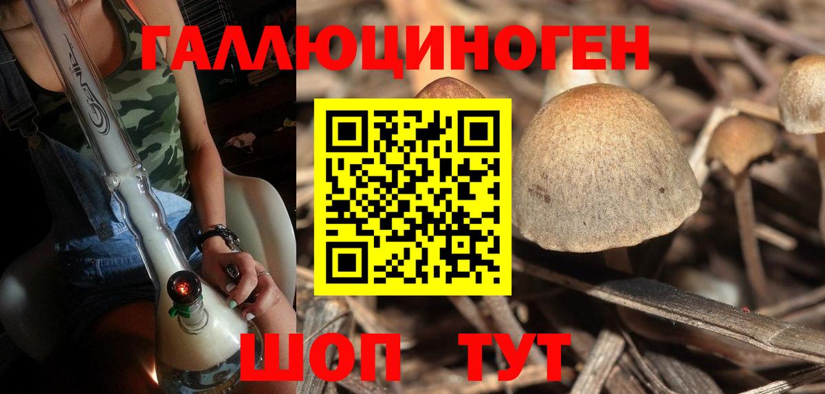 Гатчина  Псилоцибиновые грибы Psilocybine cubensis  Вход с VPN  Галлюциногенные грибы Magic Shrooms 